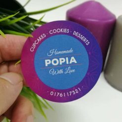 Template F29 - Mirrorcoat Sticker