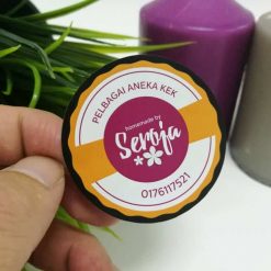 Template F22 - Mirrorcoat Sticker
